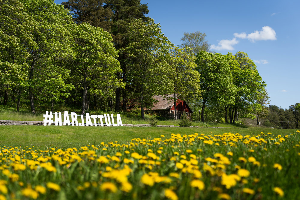 Harjattula-kyltti kesällä